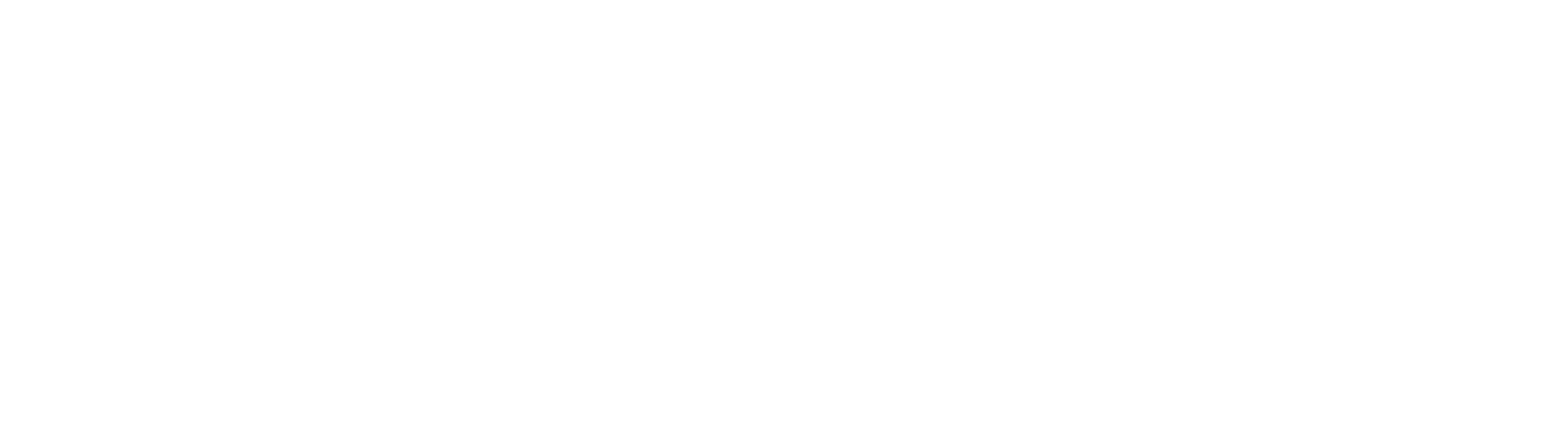 ID Mayorista