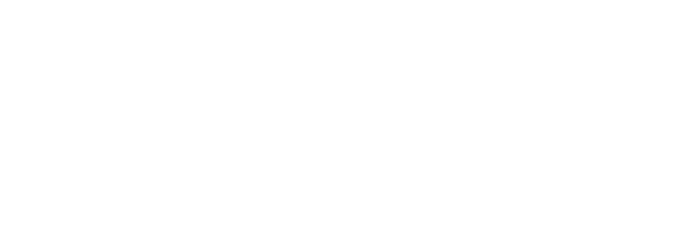 Evolis — Identify what matters